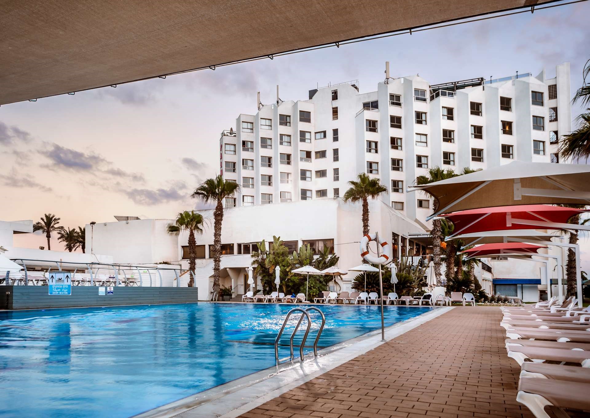 בריכת המלון | מלון חוף התמרים עכו